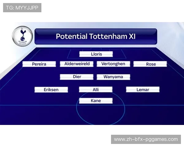 英超热刺球员的国籍分布及多样性分析 英超热刺球员的国籍分布及多样性分析