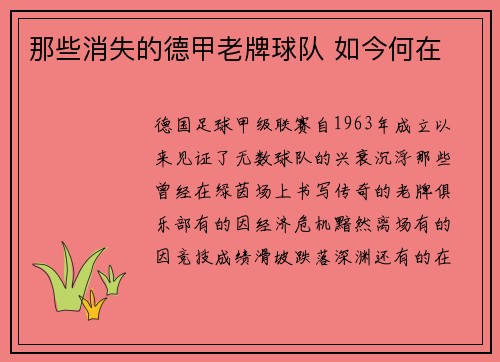 那些消失的德甲老牌球队 如今何在